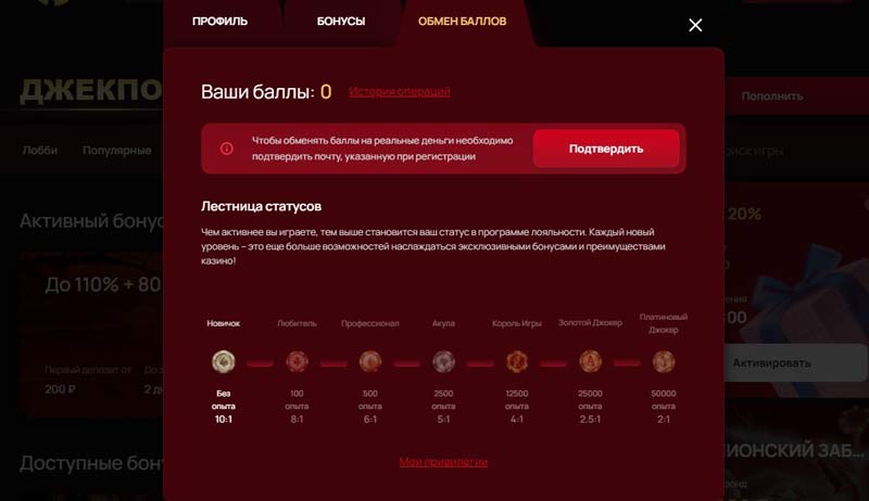 Верификация игрока